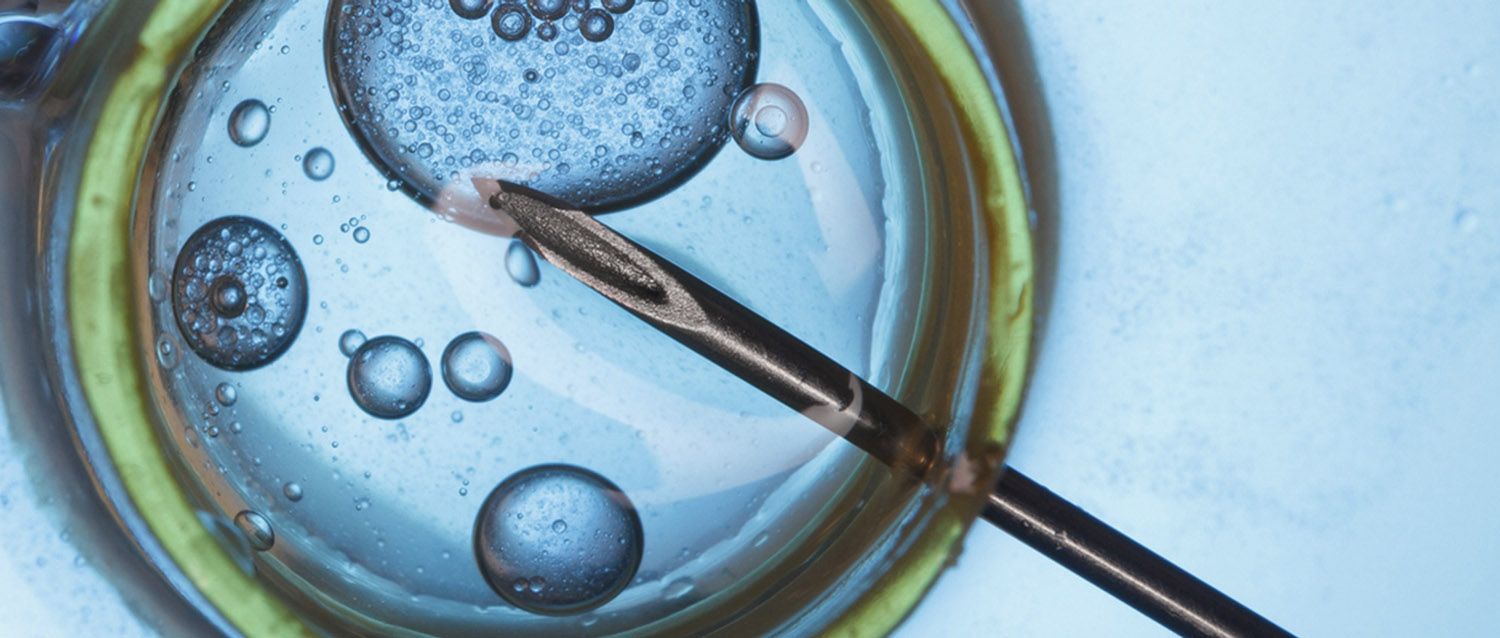 Discover a career path in Biology