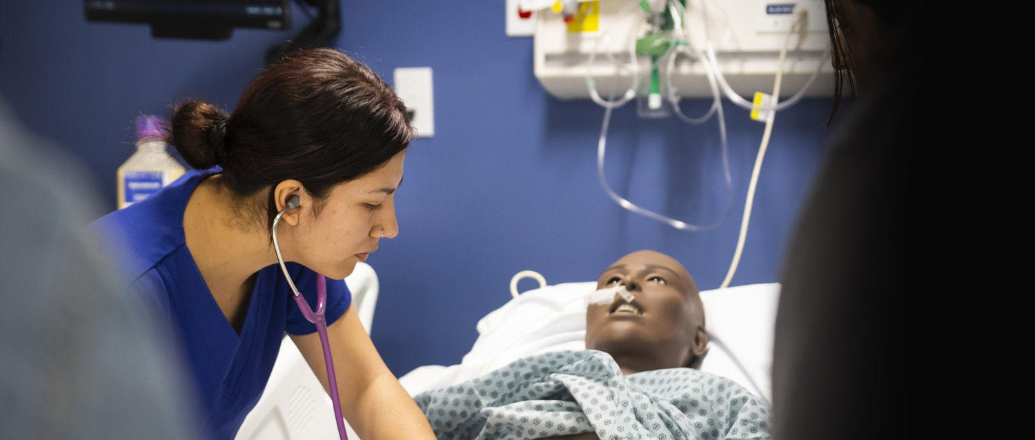 Discover a career path in Medical Humanities