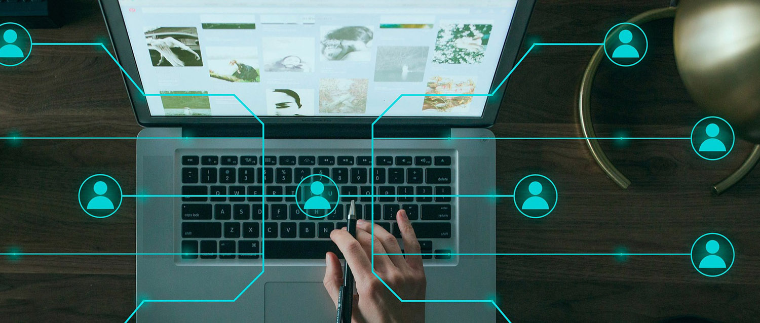 Discover a career path in Web Design & Development