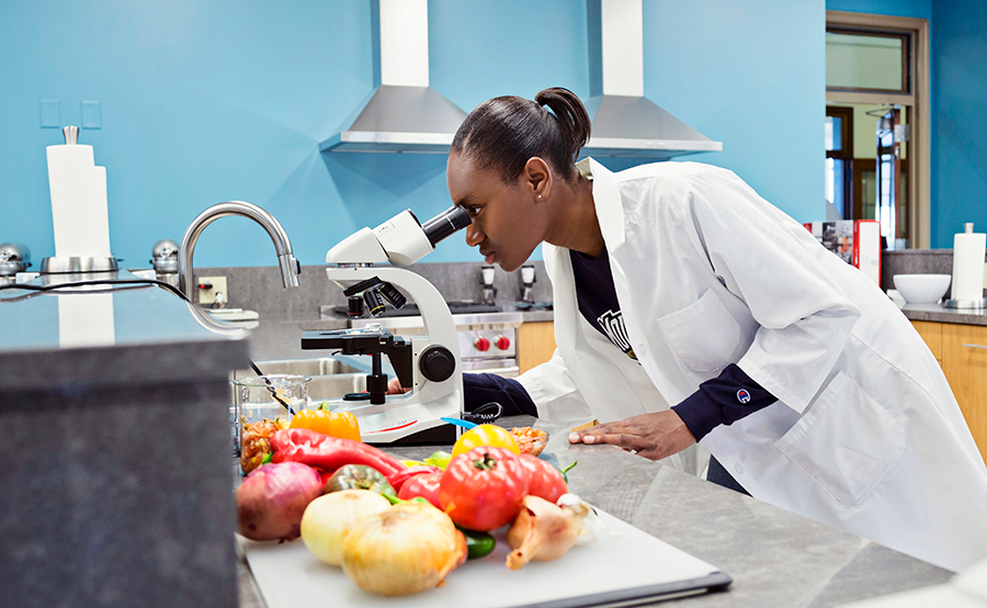 what is msc in food science and technology